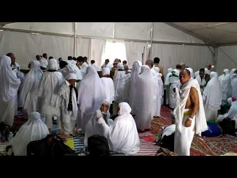 arofah kloter 56 jks 2019