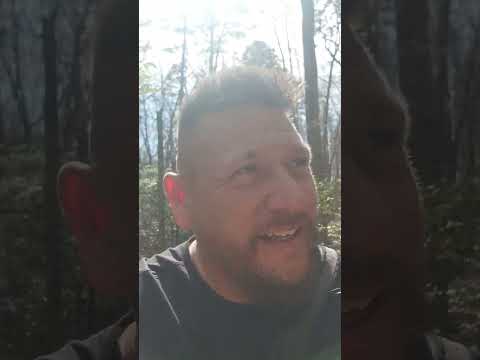 Trail Therapy, HIking to heal. Session 1