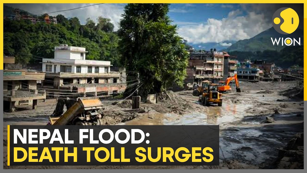 Nepal Flood Horror: India Sends Third Flight With Relief Material | WION NEWS