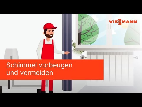 Schimmel vorbeugen und vermeiden | Viessmann