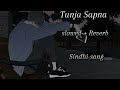 Tunja Sapna Sindhi lo-fi song 😔 Heart broken 💔 Night song #sindhisong #lofi