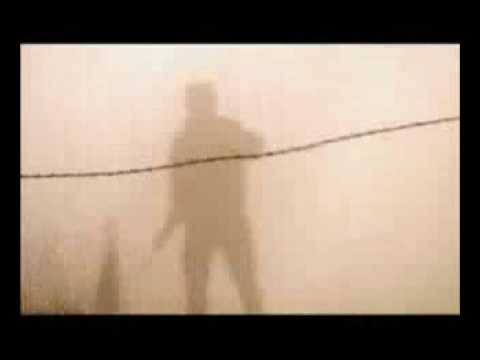 Valientes luchadores