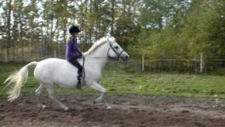 preview picture of video 'Bareback Jumping for a girl that have ridden 2 years on lessons.'