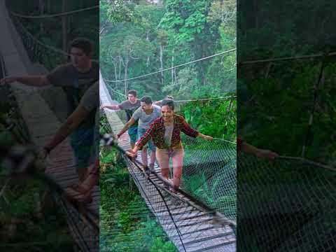 MADRE DE DIOS XIII   Lo que nadie te contó sobre el Parque Nacional del Manu  #turismo #viajes