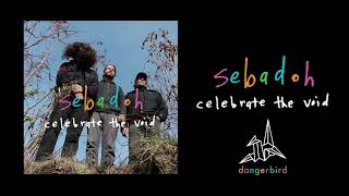 Sebadoh - celebrate the void