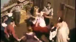 New Animal - In Control