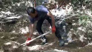 MAHSENİN GİZLİ KAPISINI DİKENLERİ TEMİZLEYEREK BULDU DALDI ACIYOR