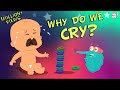 Why Do We Cry - The Dr. Binocs Show | Best Learning Videos For Kids | Peekaboo Kidz