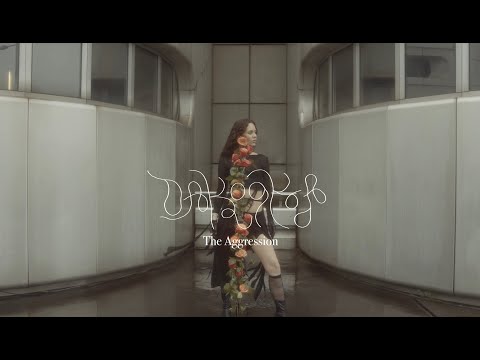 Video thumbnail for Агрессия (Agression)