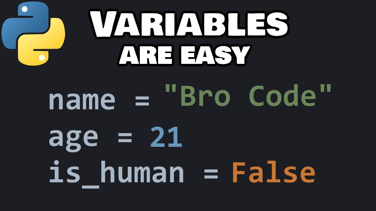 Python variables for beginners ❎