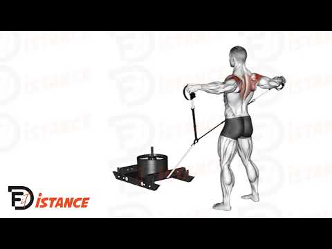 Élévations Y à la sled - Exercice Élévations Y à la sled en vidéo