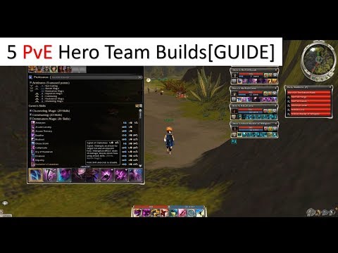 5 Hero Team for all PvE in Guild Wars