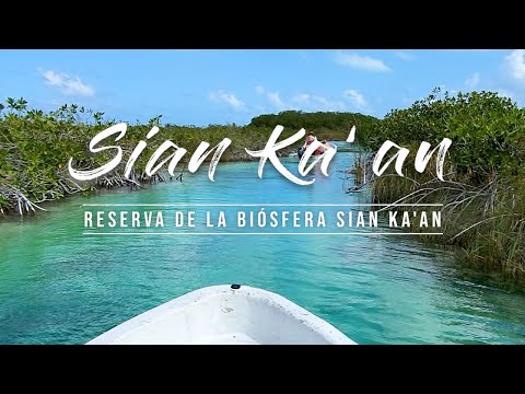 SIAN KAAN! Mayan Canal Float 20 mins from Tulum!