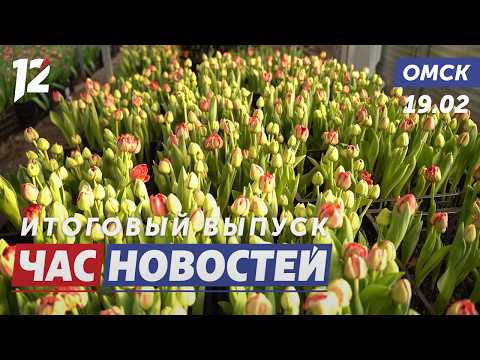 Цветочная лихорадка / Защита младенцев в машине / Разбой за куст конопли. Новости Омска