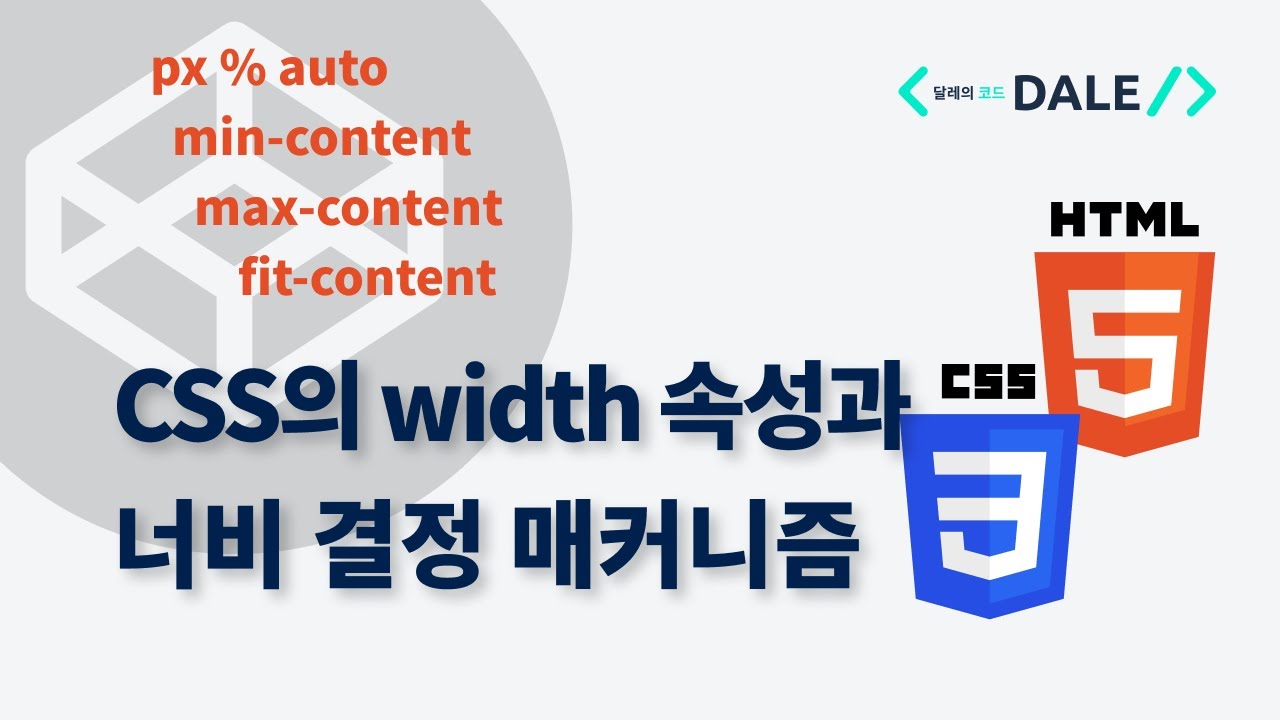 CSS의 width 속성과 너비 결정 매커니즘
