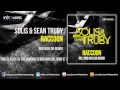Solis & Sean Truby - Raccoon (Rob Naylor Remix ...