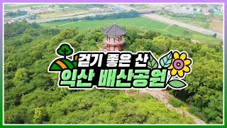 [#온택트 숲여행] 우리동네 도시숲, 걷기 좋은 익산 배산공원
