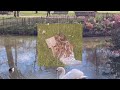Spring is Coming - Morunas // 1 hour loop // rain