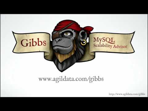 Introducing Gibbs Your MySQL Scalability Advisor