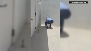 HHS Secretary Robert F. Kennedy Jr. picks up 2 snakes with bare hands