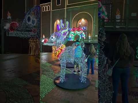 LLEGÓ LA NAVIDAD,  MUCHAS GRACIAS EPM estamos ahí , EN JERICÓ ANTIOQUIA COLOMBIA.  #legadomht