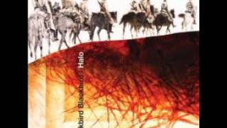 BLACKBIRD BLACKBIRD - Twin Flames