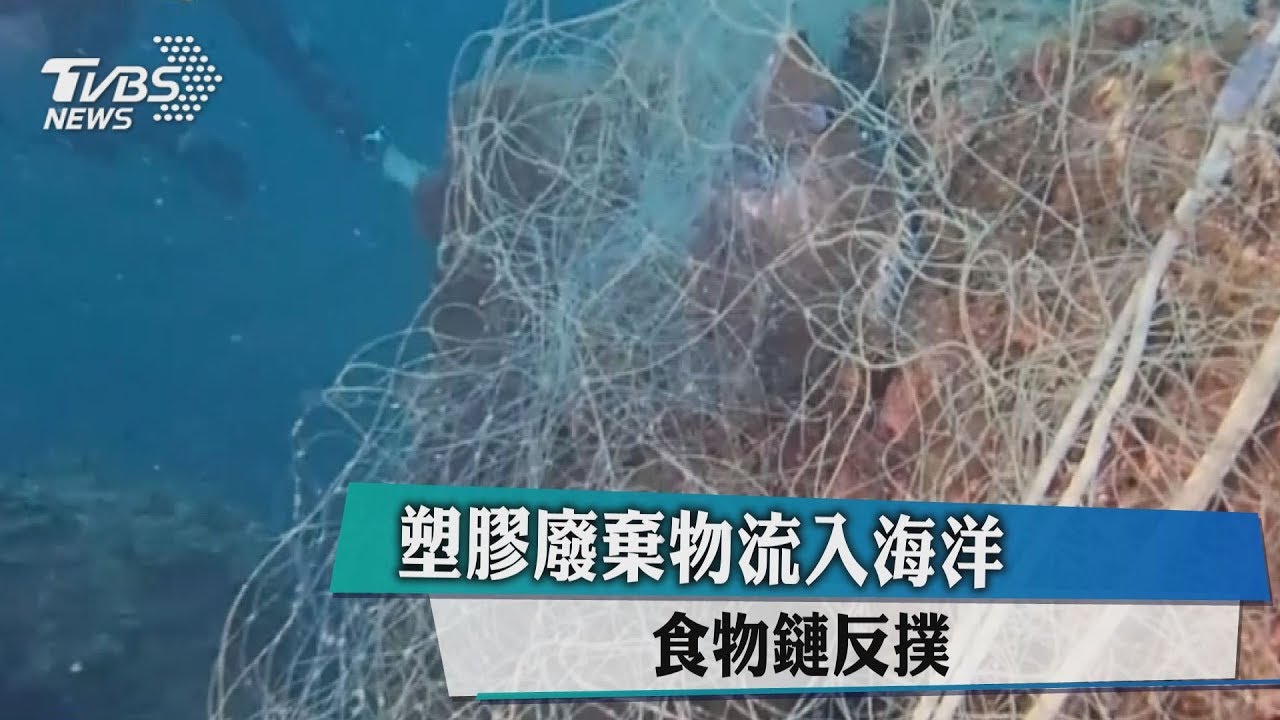 塑膠廢棄物流入海洋 食物鏈反撲