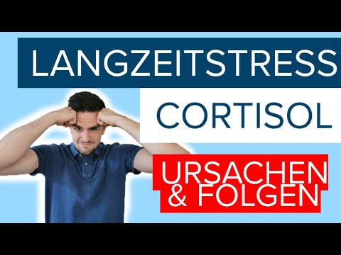 Langzeitstress und Cortisol - Was chronischer Stress ⚡ mit dir macht!