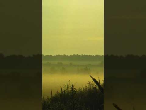 ♫ J.S. Bach - Air (No.3)From 'Suite In C Major' -Capella Istropolitana & Richard Edlinger