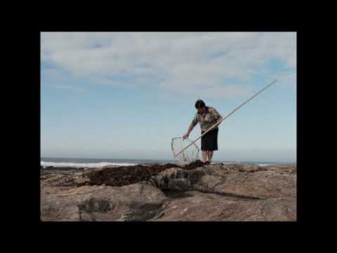 A MÃE E O MAR de Gonçalo Tocha (2013) - trailer