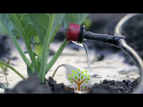 Sistema de Irrigação por Gotejamento