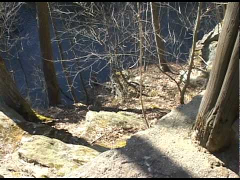 Changing the World One Blade of Grass at a Time