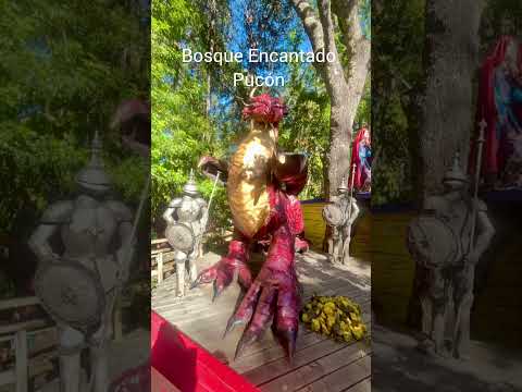 Enchanted Forest Pucón #bosqueencantado #enchantedforest #araucania #pucón #elsur