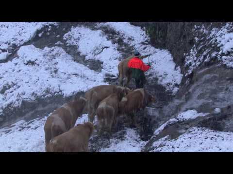 ALPZYT Teaser Engstligenalp | ab 13.10.16 im Kino