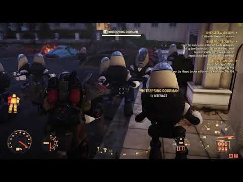 Welcome to the Whitespring