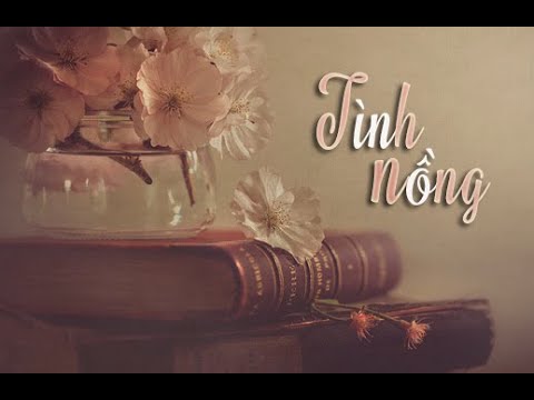 [Karaoke Beat Hạ Tone Nam] Tình Nồng | Beat Lân Nhã