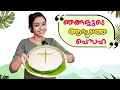 ഞങ്ങളുടെ ആദ്യത്തെ പെസഹ PESAHA Appam Recipe Alice Christy