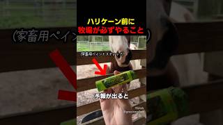 ハリケーン前に牧場が必ずやること