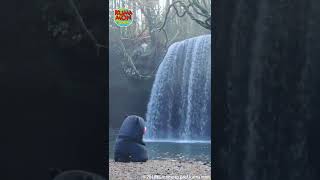【KUMAMON WORLD】KUMAMON healed by the natural environment of Kumamoto in Nabegataki Waterfall #Shorts