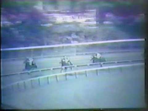 Dr. Fager - 1968 Whitney Handicap