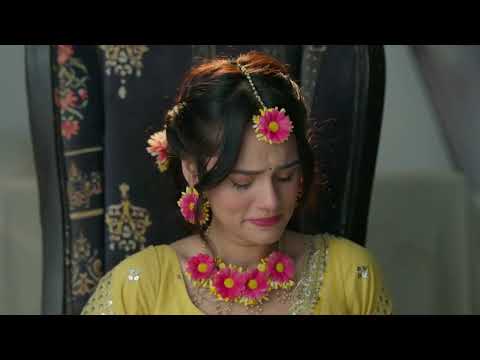 Vasudha | Ep - 385 | Webisode | Nov 15 2025 | Zee TV