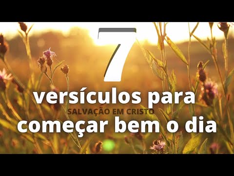 7 Versículos para começar bem o dia! #oração #fé #Deus #confiança