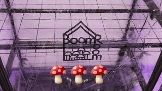 🍄  NorthSpore Boom Room | Review: First Look