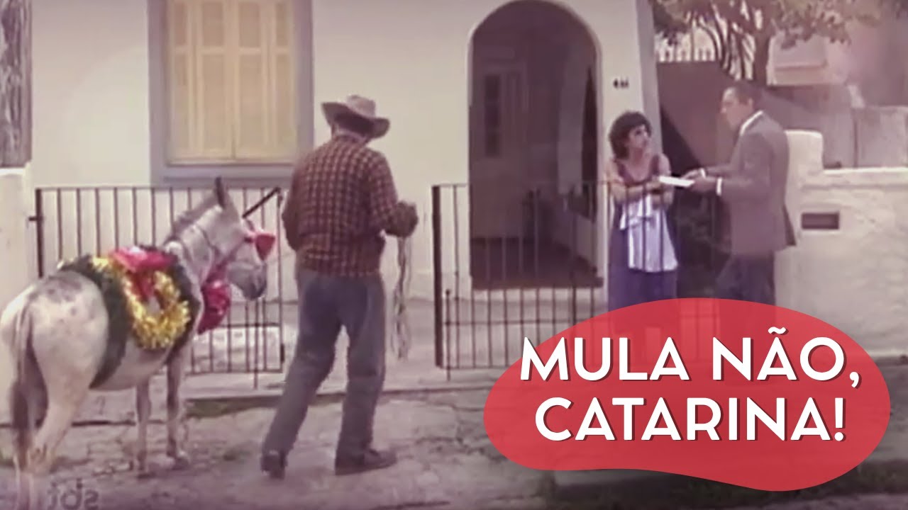 DE QUEM É ESSE JEGUE? | CÂMERAS ESCONDIDAS