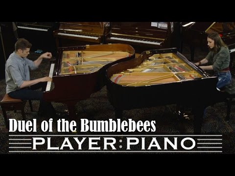 Duel of the Bumblebees - Sonya Belousova feat. Arturo Cardelús