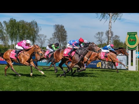 ŽIVĚ 🔴 | dostihy Lysá – 11. 11. 2023 od 11:00 hodin