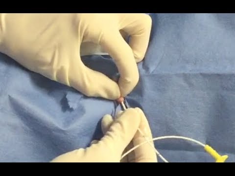 How to Perform Urethral Catheterization In A Blocked Cat