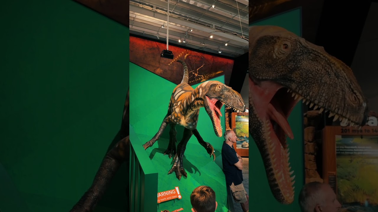 YouTube Short thumbnail