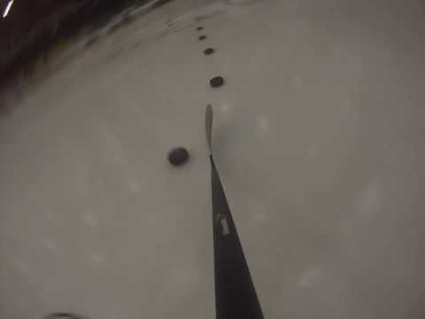 Venatic NN2.0 Stickhandling / SC Reichersbeuern