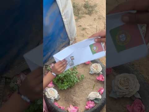 من البرتغال إلى أطفال فلسطين الأيتام